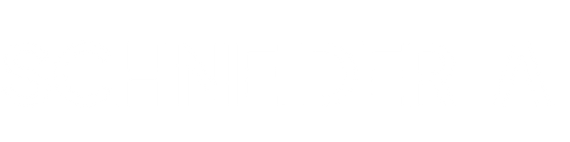 Logo de Schneider AI
